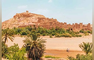 jannes-jacobs-pT15RyXDJ4Q-unsplash (1) (1)