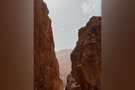 pexels-1093389518-31703992-1 (1)