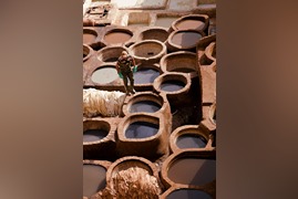 pexels-artem-yellow-422929671-15193578 (2) (1)