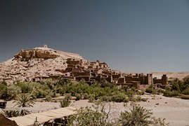 pexels-ed-duvico-530456-29107896 (1) (1)