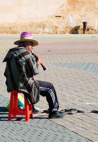 pexels-helgampallares-11063087 (1)