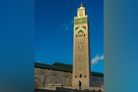 pexels-m-r-l-1662057559-31440134 (1)