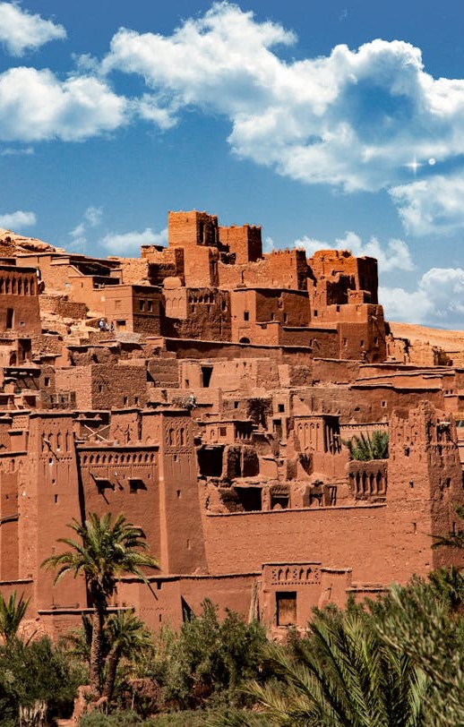 pexels-miunal-5541277