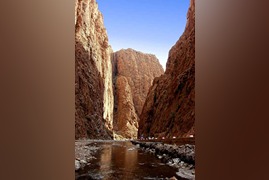 pexels-mographe-30369008-1 (1)