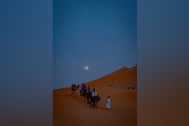 pexels-taken-by-great-1293037072-32600051-1 (1)