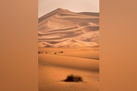 pexels-the-trvlr-1731660 (1)