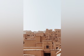 pexels-wender-junior-souza-vieira-9757411-14267600 (3) (1)