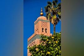 pexels-youssef-baalla-421912064-20710152-1 (1)