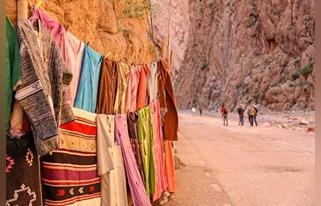 rigel-eR7AhcdD-qg-unsplash (1) (1)