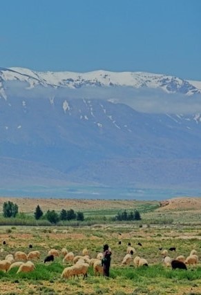 tienko-dima-4TmlOpKNJcE-unsplash